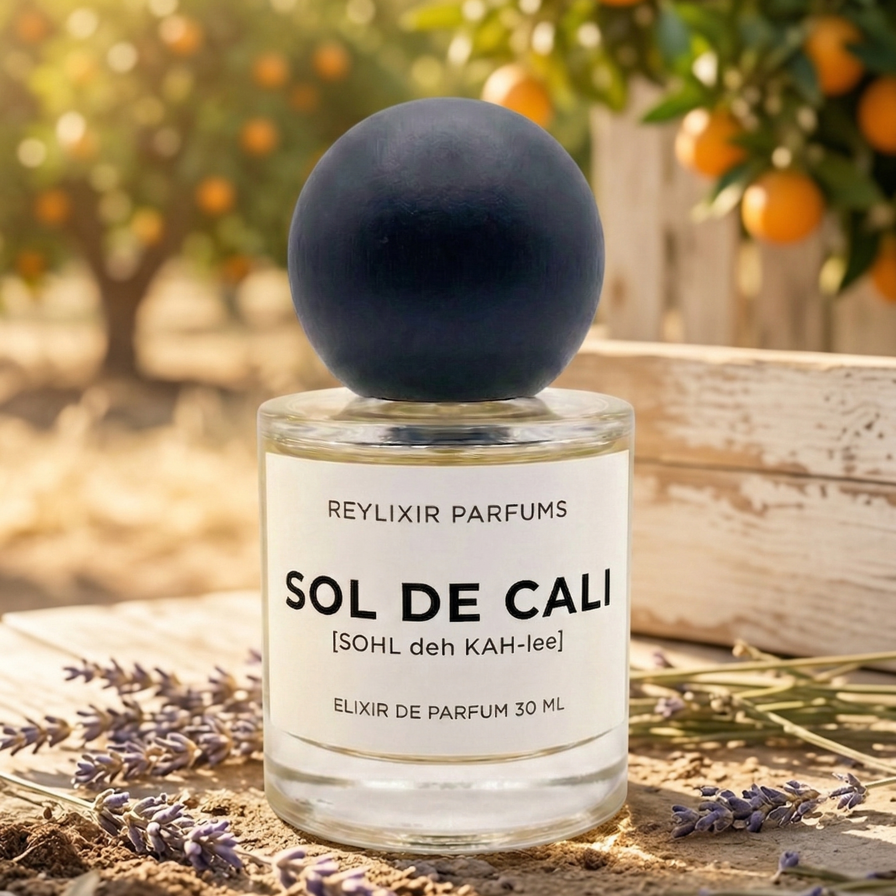 SOL DE CALI |Inspired by LV California Dream|