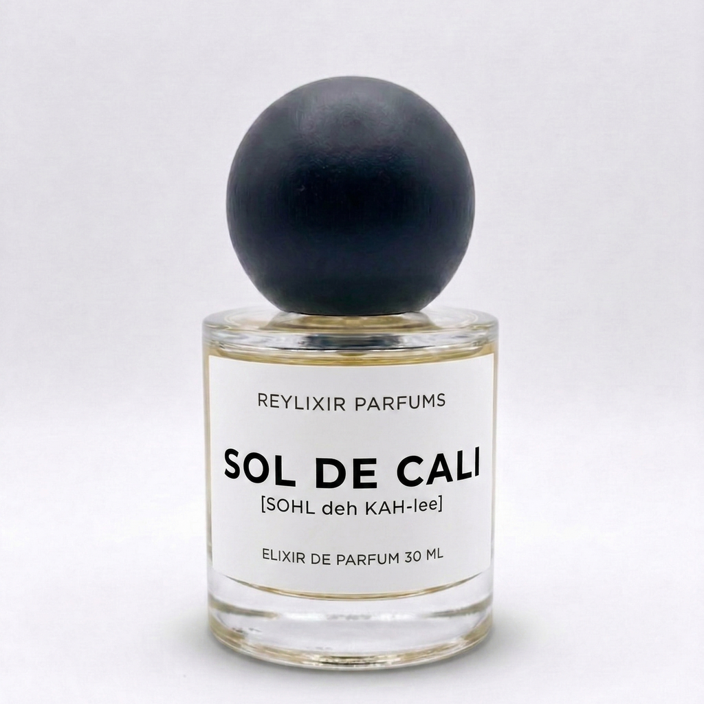 SOL DE CALI |Inspired by LV California Dream|